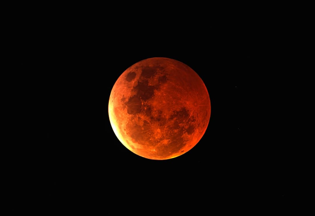 05后博主发帖共享，追的竟然是泉州这位“大明星”…